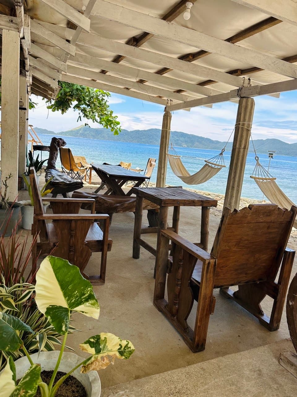 Wooden chairs and hammocks under the canopy